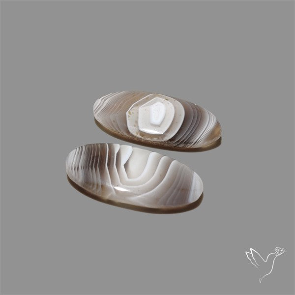 Botswana Agate Pair