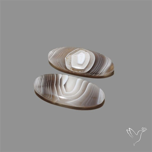 Botswana Agate Pair