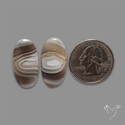 Botswana Agate Pair