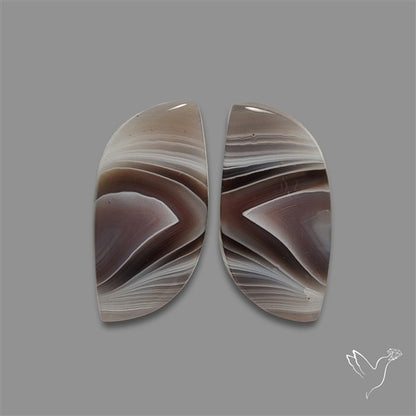 Botswana Agate Pair