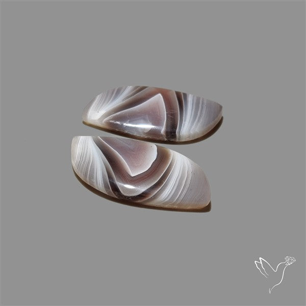 Botswana Agate Pair