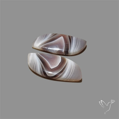 Botswana Agate Pair