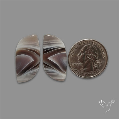 Botswana Agate Pair