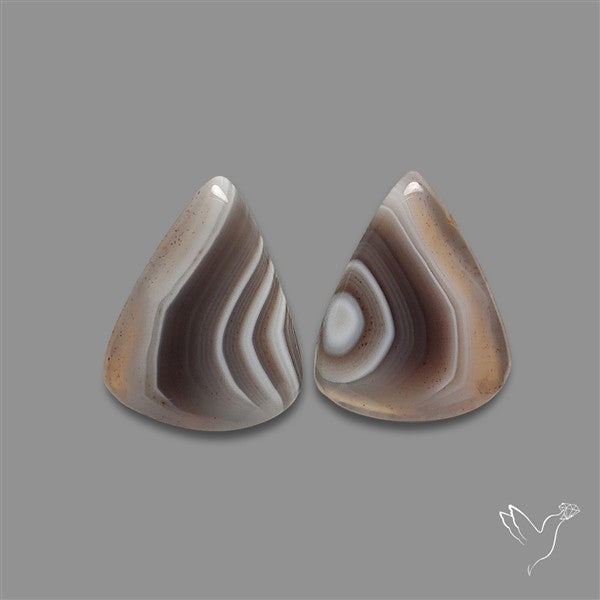 Botswana Agate Pair
