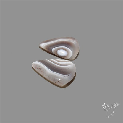 Botswana Agate Pair