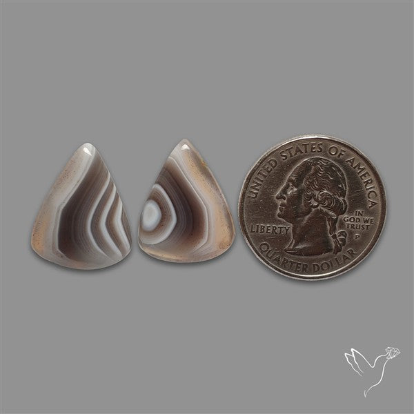 Botswana Agate Pair