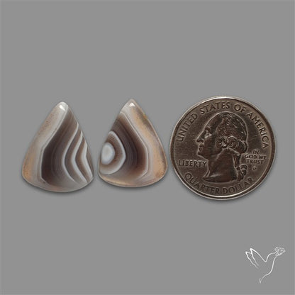 Botswana Agate Pair