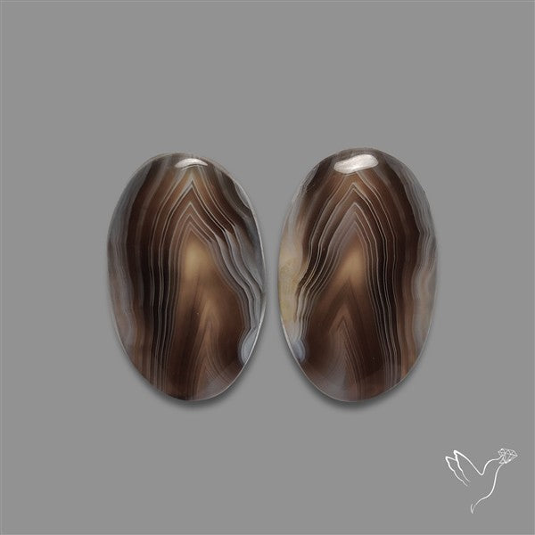 Botswana Agate Pair