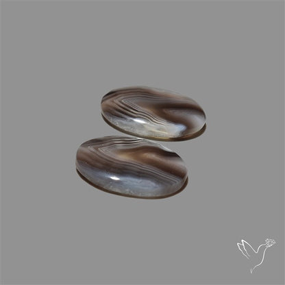 Botswana Agate Pair