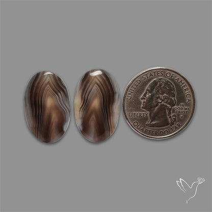Botswana Agate Pair