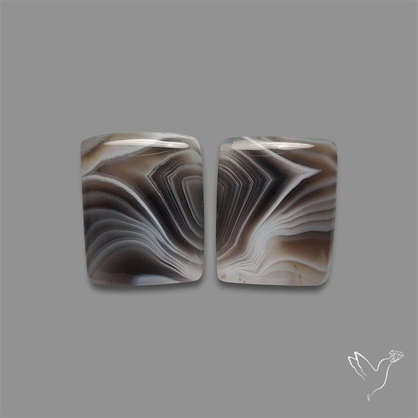 Botswana Agate Pair