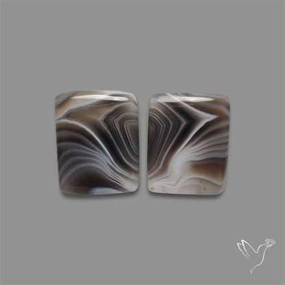 Botswana Agate Pair