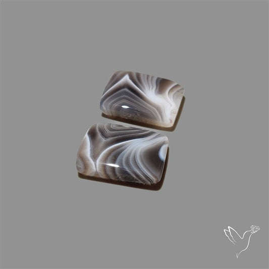 Botswana Agate Pair