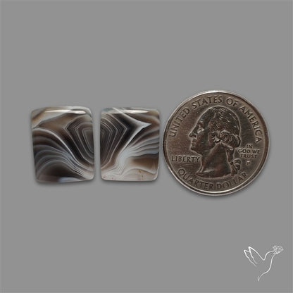 Botswana Agate Pair