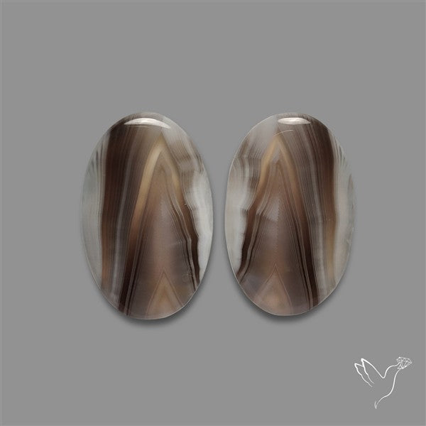 Botswana Agate Pair