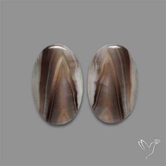 Botswana Agate Pair