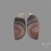 Botswana Agate Pair