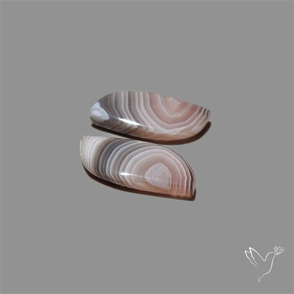 Botswana Agate Pair