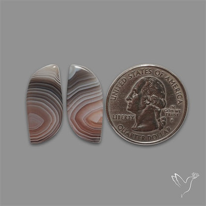 Botswana Agate Pair