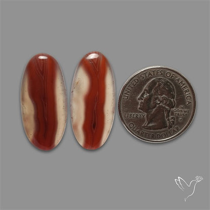 Botswana Agate Pair
