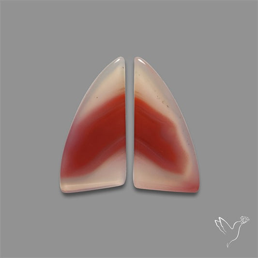 Botswana Agate Pair