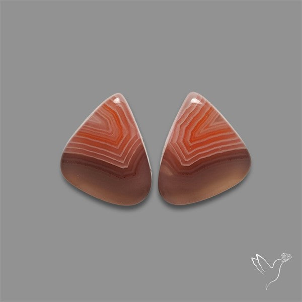 Botswana Agate Pair
