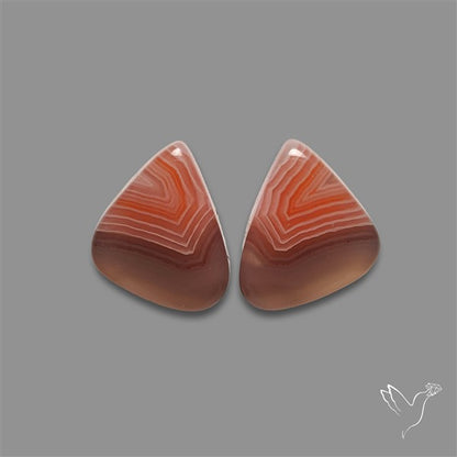 Botswana Agate Pair