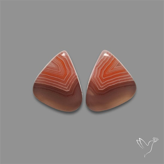 Botswana Agate Pair