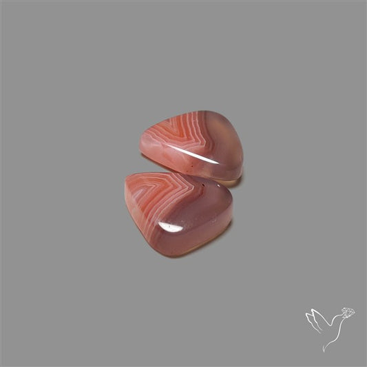 Botswana Agate Pair