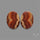 Wave Dolomite Pair