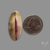 Rare Pink Web Mookaite Cabochon