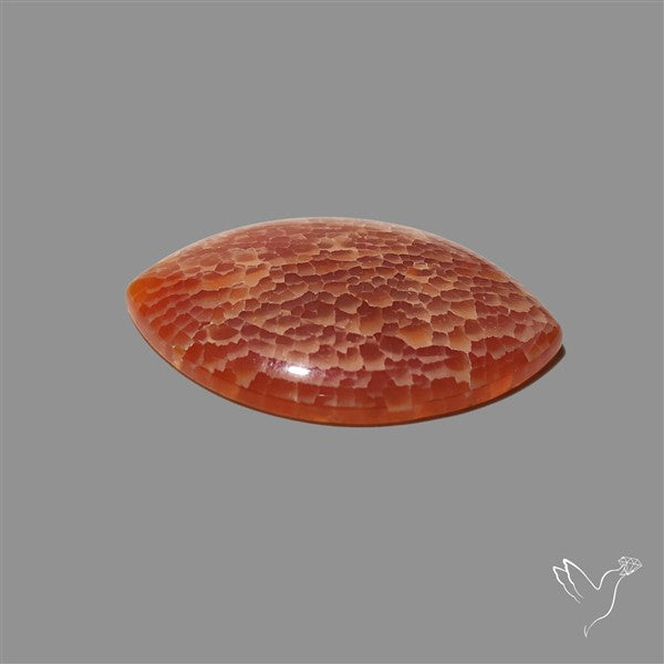 Fire Agate Cabochon