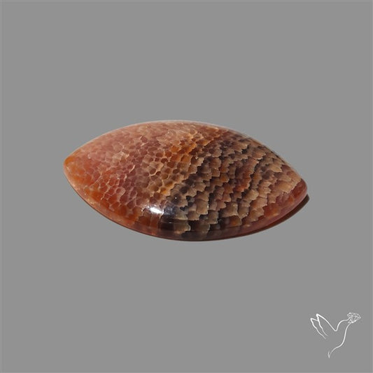 Fire Agate Cabochon