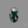Rose Cut Moss Agate