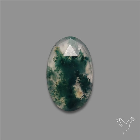 Rose Cut Moss Agate