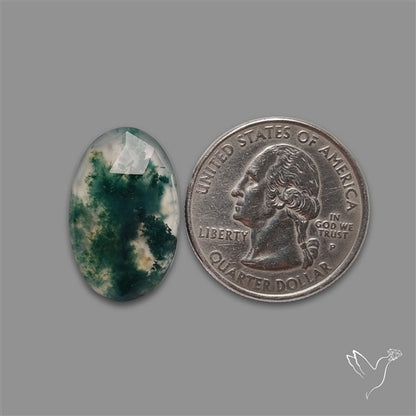 Rose Cut Moss Agate