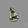 Rose Cut Moss Agate