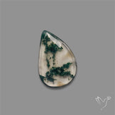 Rose Cut Moss Agate
