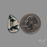 Rose Cut Moss Agate