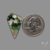 Rose Cut Moss Agate