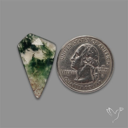 Rose Cut Moss Agate