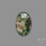 Rose Cut Moss Agate