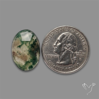 Rose Cut Moss Agate