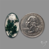 Rose Cut Moss Agate