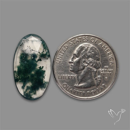 Rose Cut Moss Agate