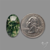 Rose Cut Moss Agate