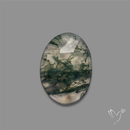 Rose Cut Moss Agate