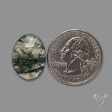 Rose Cut Moss Agate