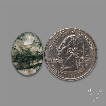 Rose Cut Moss Agate