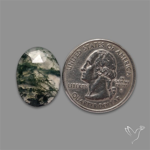 Rose Cut Moss Agate